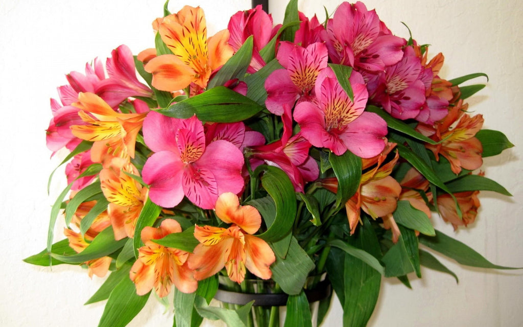 Alstroemeria Bouquet