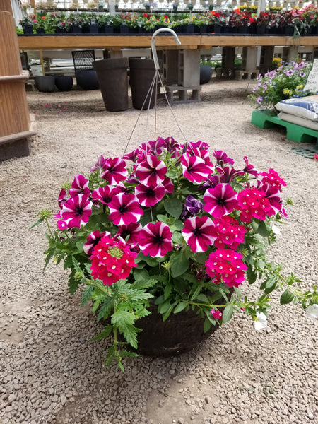 Hanging Baskets