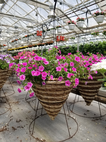 Hanging Baskets