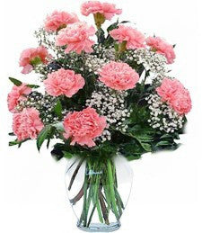 Dozen Mixed Carnations