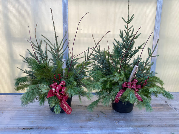 Spruce Tip Porch Pot