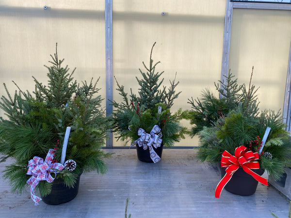 Spruce Tip Porch Pot