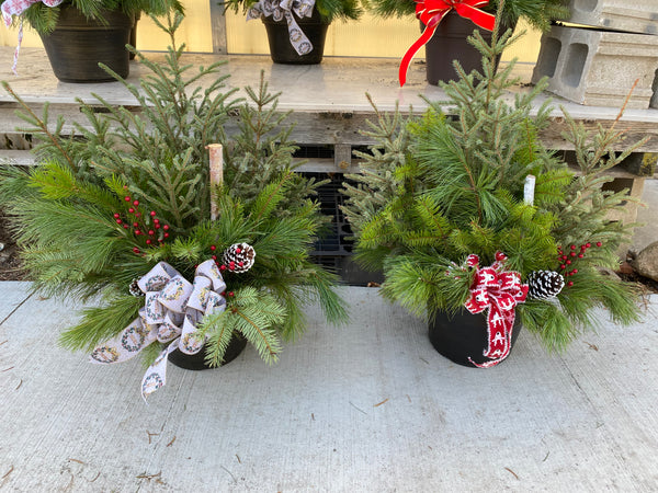 Spruce Tip Porch Pot