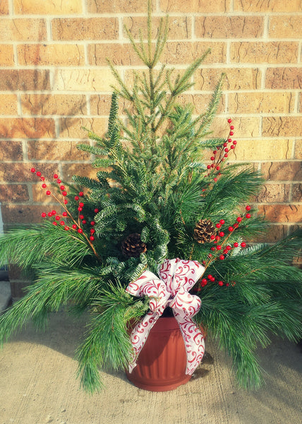 Spruce Tip Porch Pot