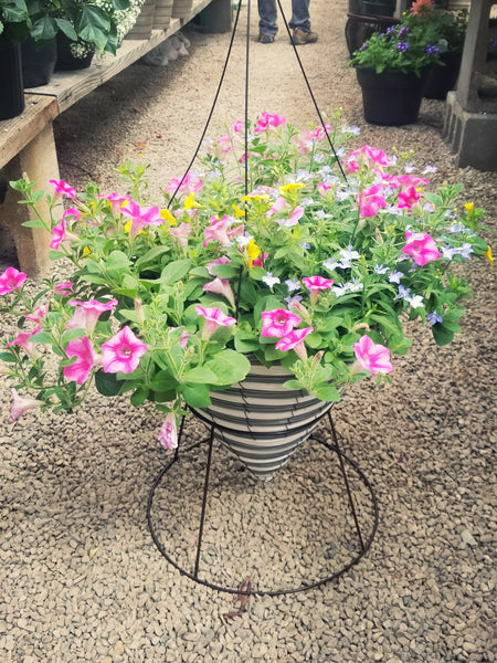 Hanging Baskets
