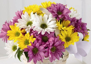 Mixed Daisy Bouquet