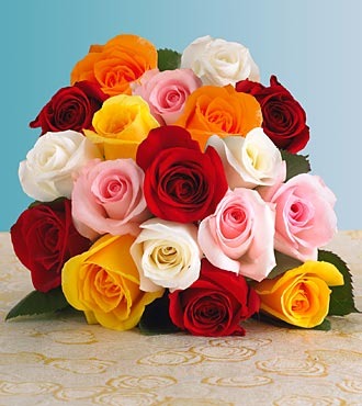 Valentine's Day Special!! Dozen Roses Mixed Colors