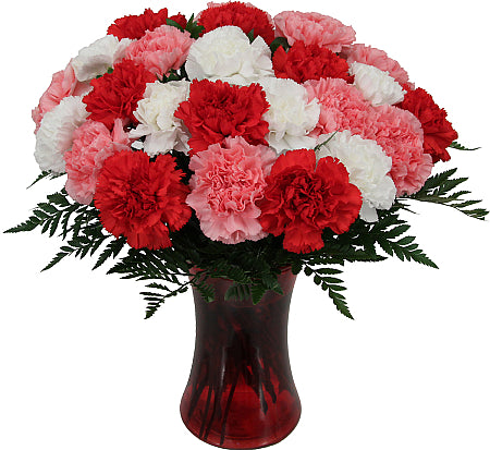 Dozen Mixed Carnations – Salama Greenhouse & Floral